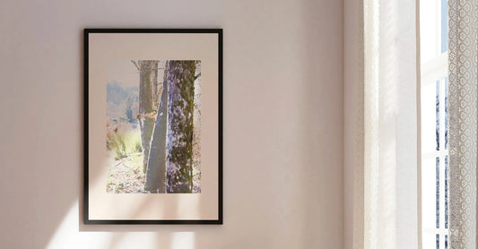 Vision #07 - WINTER SUN FRAGMENTS des toiles