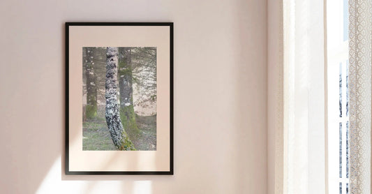 Vision #09 - DIFFERENCE FRAGMENTS des toiles