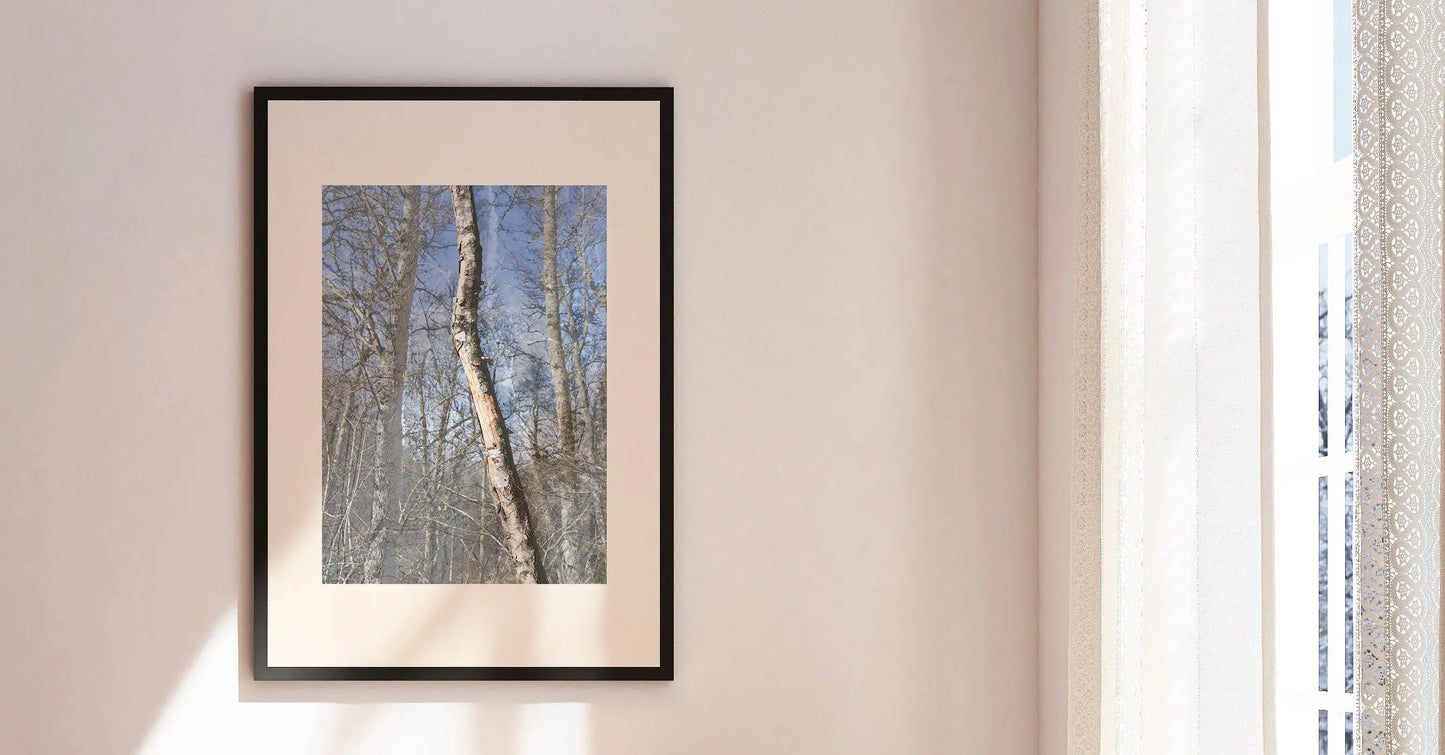 Vision #14 - SURSIS FRAGMENTS des toiles