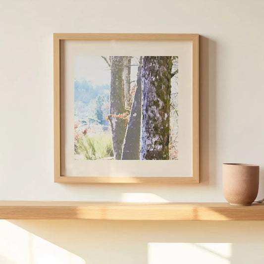 Vision #08 - WINTER SUN FRAGMENTS des toiles