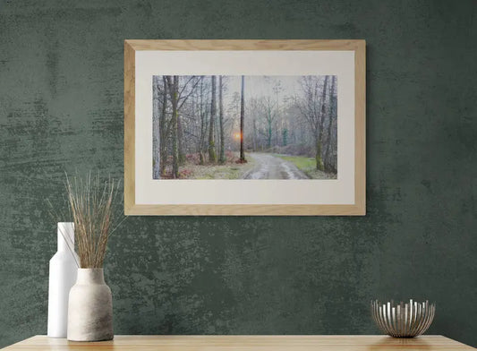 Vision #06 - A FOREST FRAGMENTS des toiles