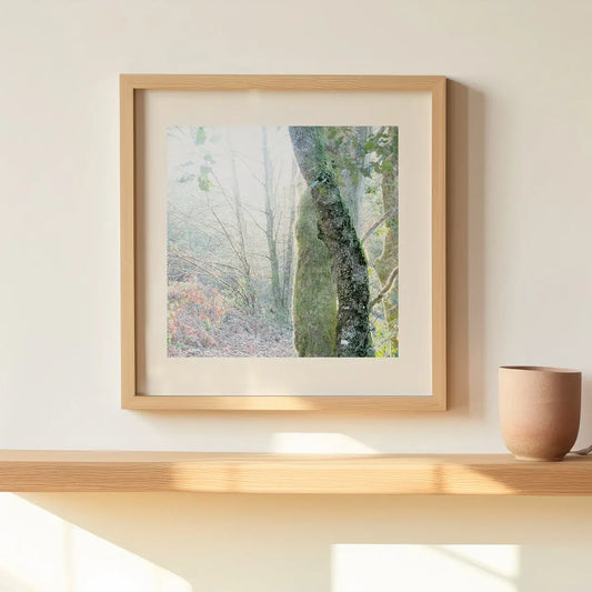 Vision #13 - CONTORSION FRAGMENTS des toiles