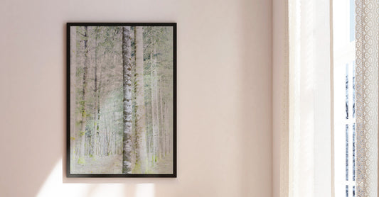 Vision #19 - SAPINIERE FRAGMENTS des toiles