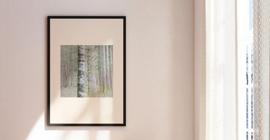 Vision #20 - SAPINIERE FRAGMENTS des toiles