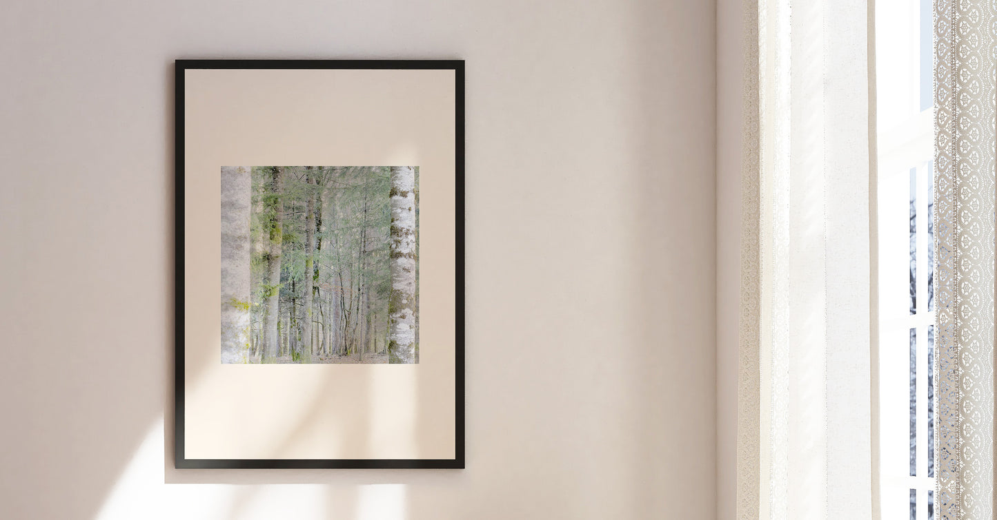 Vision #21 - SAPINIERE FRAGMENTS des toiles