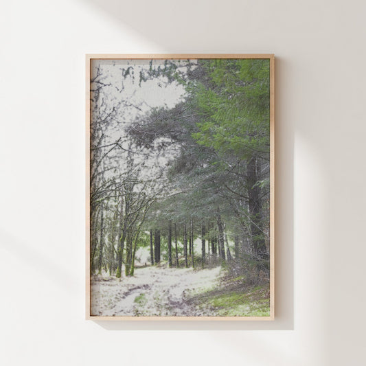 Vision #17 - REVERIE FRAGMENTS des toiles