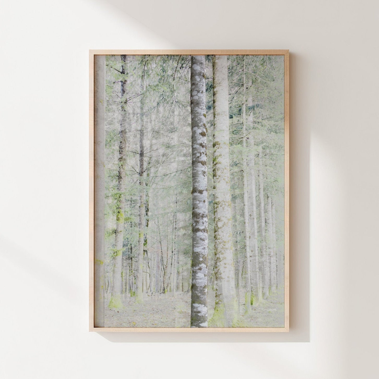 Vision #19 - SAPINIERE FRAGMENTS des toiles