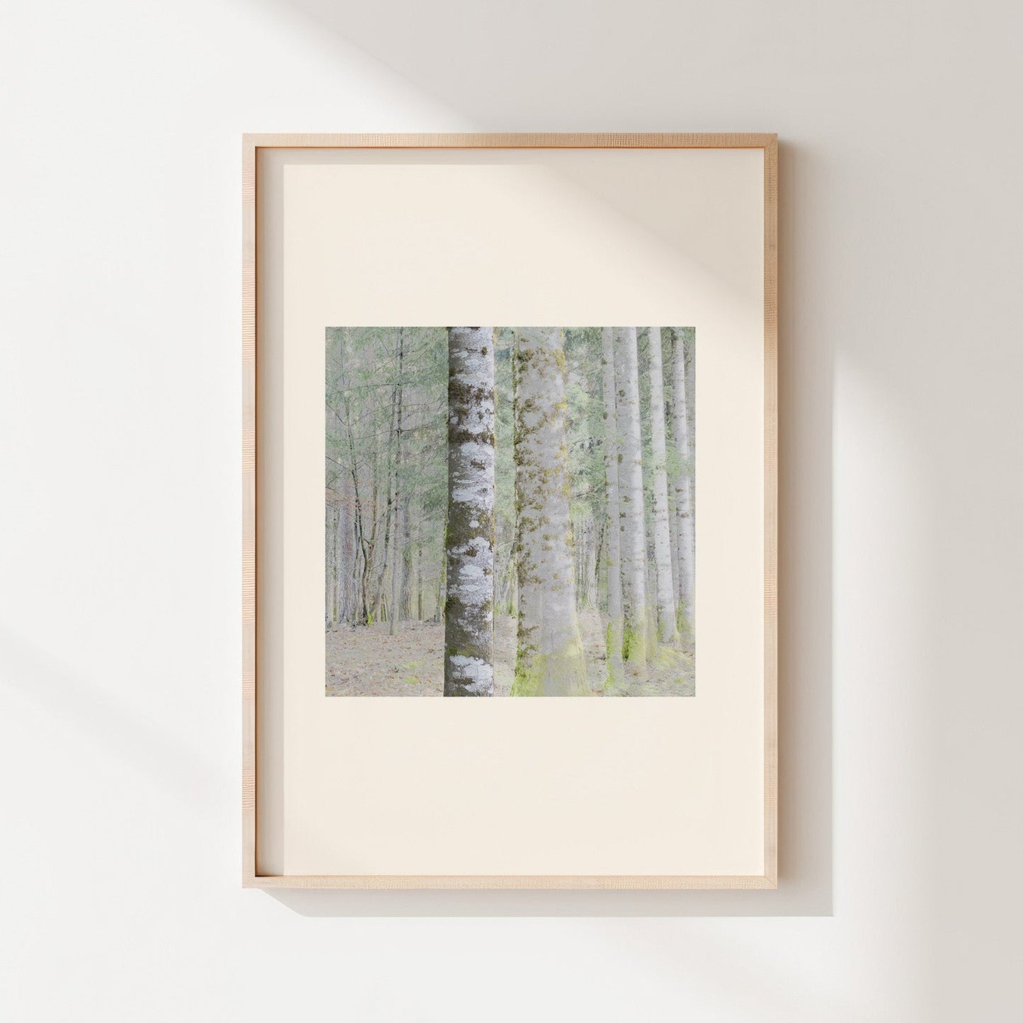 Vision #20 - SAPINIERE FRAGMENTS des toiles