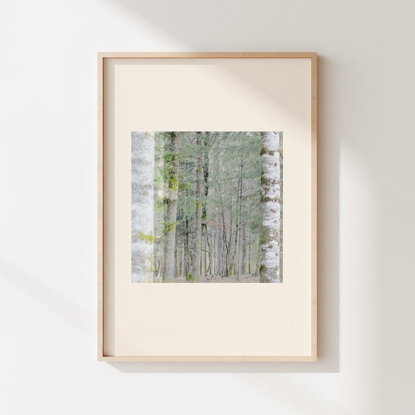 Vision #21 - SAPINIERE FRAGMENTS des toiles