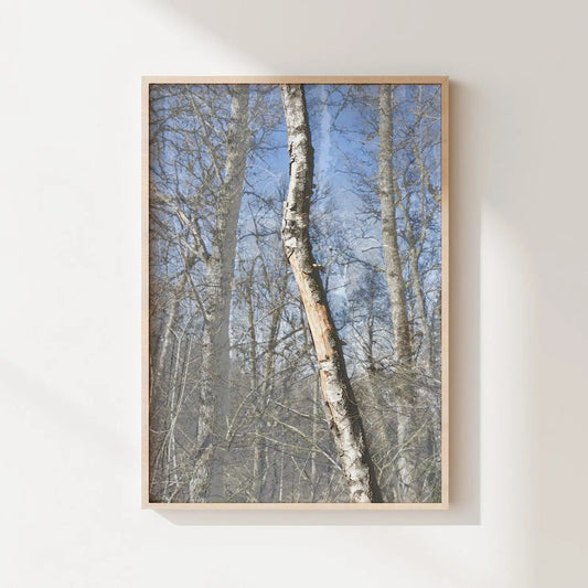 Vision #14 - SURSIS FRAGMENTS des toiles