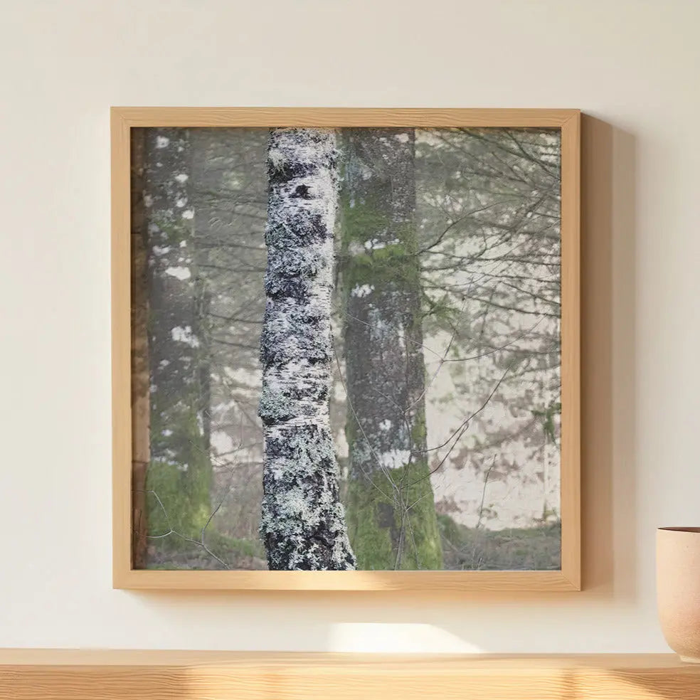 Vision #10 - DIFFERENCE FRAGMENTS des toiles