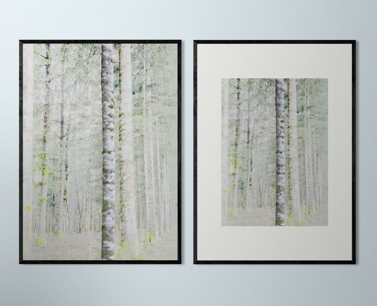 Vision #19 - SAPINIERE FRAGMENTS des toiles