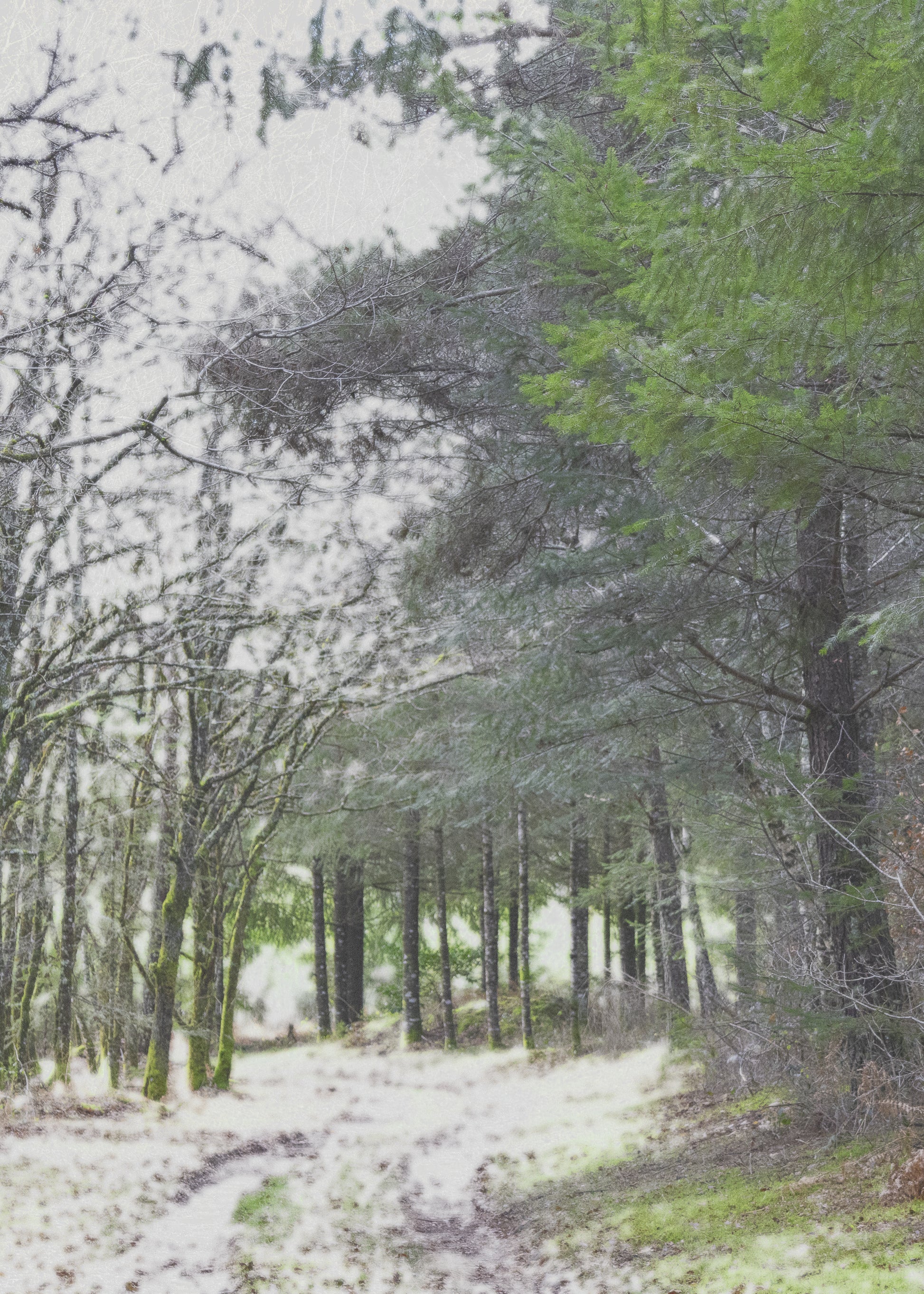 Vision #17 - REVERIE FRAGMENTS des toiles