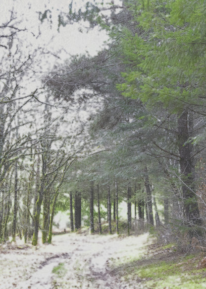 Vision #17 - REVERIE FRAGMENTS des toiles