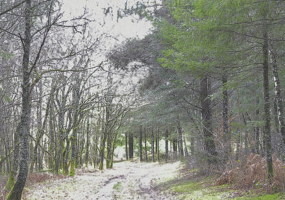 Vision #18 - REVERIE FRAGMENTS des toiles