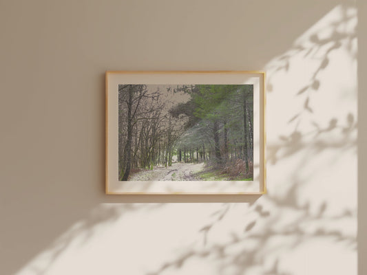 Vision #18 - REVERIE